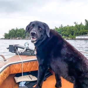 Meet your Posher, Logan